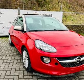 Schade overig Opel Adam GLAM 2019/1
