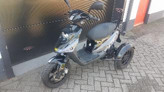 Schade bestelwagen PGO Movano PGO driewielscooter 2012/1